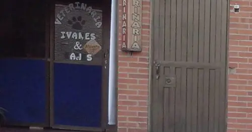 VETERINARIA IVANES BOGOTÁ VETERINARIA IVANES BOGOTÁ